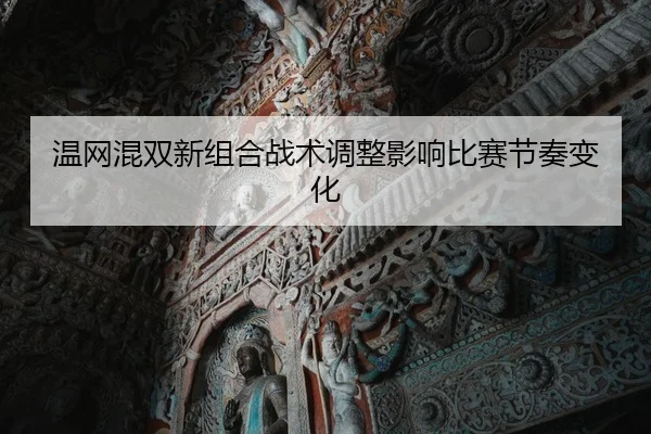 温网混双新组合战术调整影响比赛节奏变化 - LEYUSPORTS